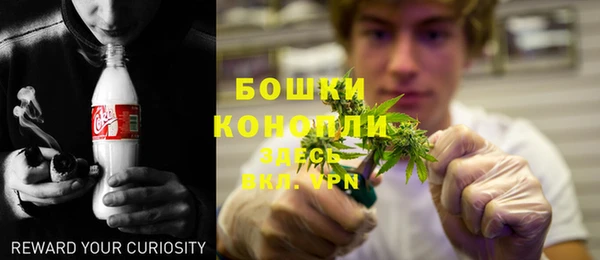 трава Абаза