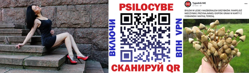 Галлюциногенные грибы MAGIC MUSHROOMS  где купить наркоту  Ермолино 