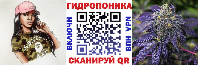 Бошки марихуана сатива  кракен рабочий сайт  Ермолино  что такое  
